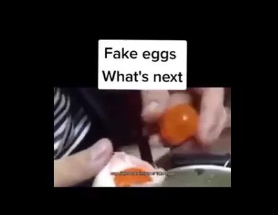 fakeeggsconsumermarketsuppliernews