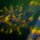 Microscopic Squid-Like Creatures And Metallic Objects Revealed By Live Blood Analyst!!