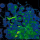 Strange Weather Wobble Caught On Radar, For United States And Canada!!